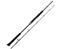Спиннинг Daiwa 25 Saltiga J Expedition 50S-6 1.52м max 400гр