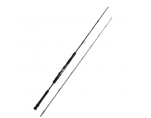 Спиннинг Shimano Ocea EJ B636 1.91м max400гр