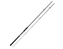 Спиннинг Daiwa 21 Over There Grande 100MH